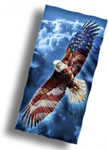 american flag with eagle