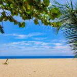 antigua-beach-2485882__340.jpg