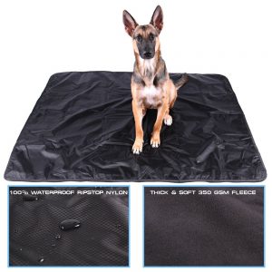dog-blanket.jpg