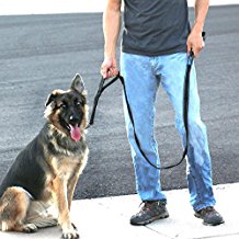 dog-leash.jpg