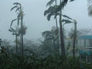hurricane-2019494__340.jpg