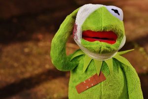 kermit-1767617__340.jpg