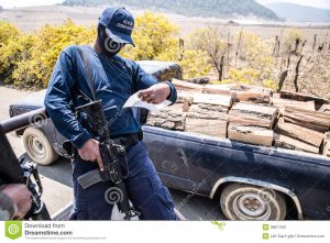mexico-stop-cartels-39877931.jpg