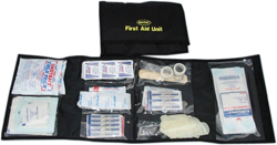 mini-first-aid-kit.jpg