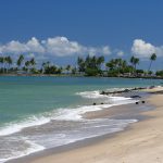 puerto-rico-beach-634040__340.jpg