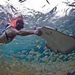 cozumel-stingray-beach.jpg