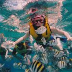 reef-snorkeling-377390__340.jpg